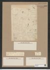 Lysigonium muniliforme var.. hispidum D.T. (de-Toni-Nr.: Genus 211, Species 5298) Zeichnungen Sammlung Grunow Nr. 9127 (NHMW-BOT-W0378896)